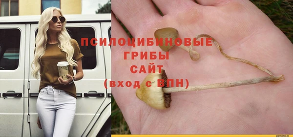 прущие крисы Алексеевка