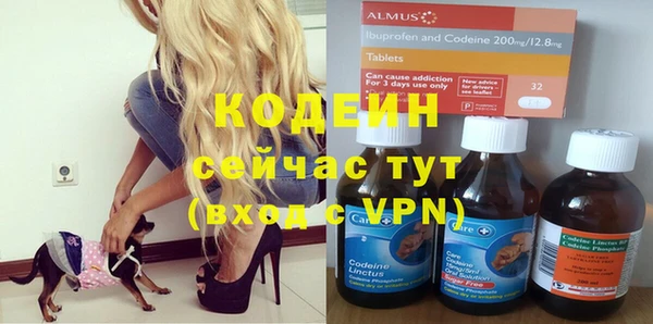 тгк Лиски