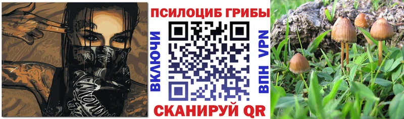 Псилоцибиновые грибы мицелий Салехард